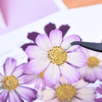 18pcs,Dabas Nospiests Calliopsis Ziedi,Nekustamā touch Ziedu DIY Mākslas Amatniecības Grāmatzīmi Dāvanu Nagu Dizains,DIY kāzu ielūgumi