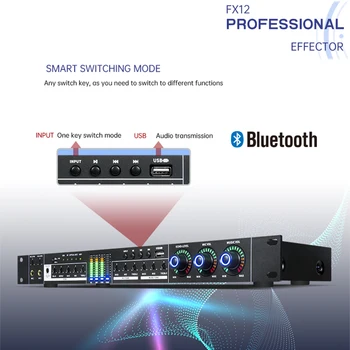 Paulkitson FX12 Karaoke Iepriekš Ietekmi KTV Profesionālus Digitālā Audio Atbalss Efektu Procesors DSP Audio Procesors Ar Bluetooth USB