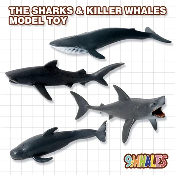 Izglītības Modeļa Simulācijas Rotaļu Dzīvniekiem, PVC Haizivs Īsspuru Izmēģinājuma Valis Zilais Valis Žokļu Popular Science Apdare Dāvanu